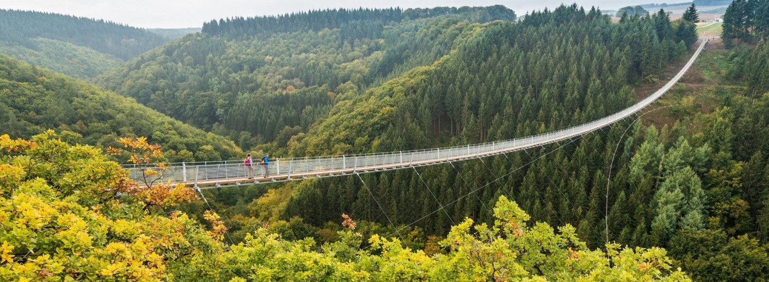 titelbild-reisethemen-hängeseilbrücke-geierlay