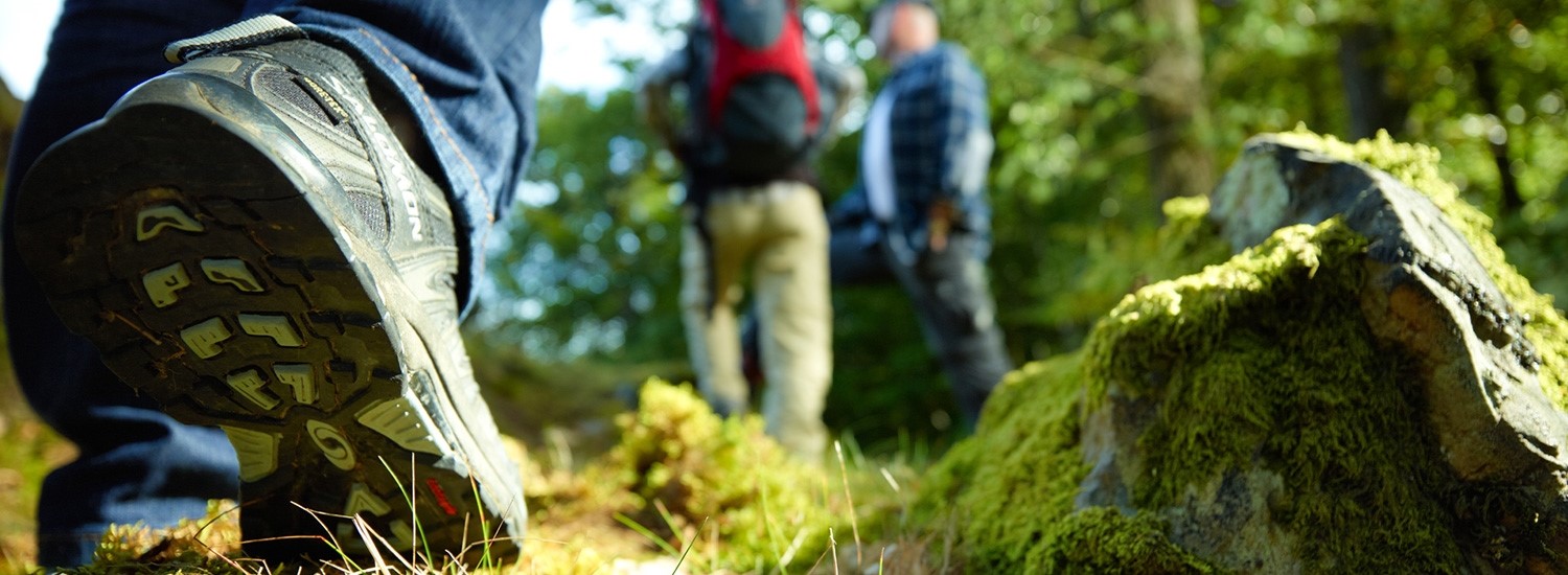 titelbild-reisethemen-wandern-im-hunsrueck