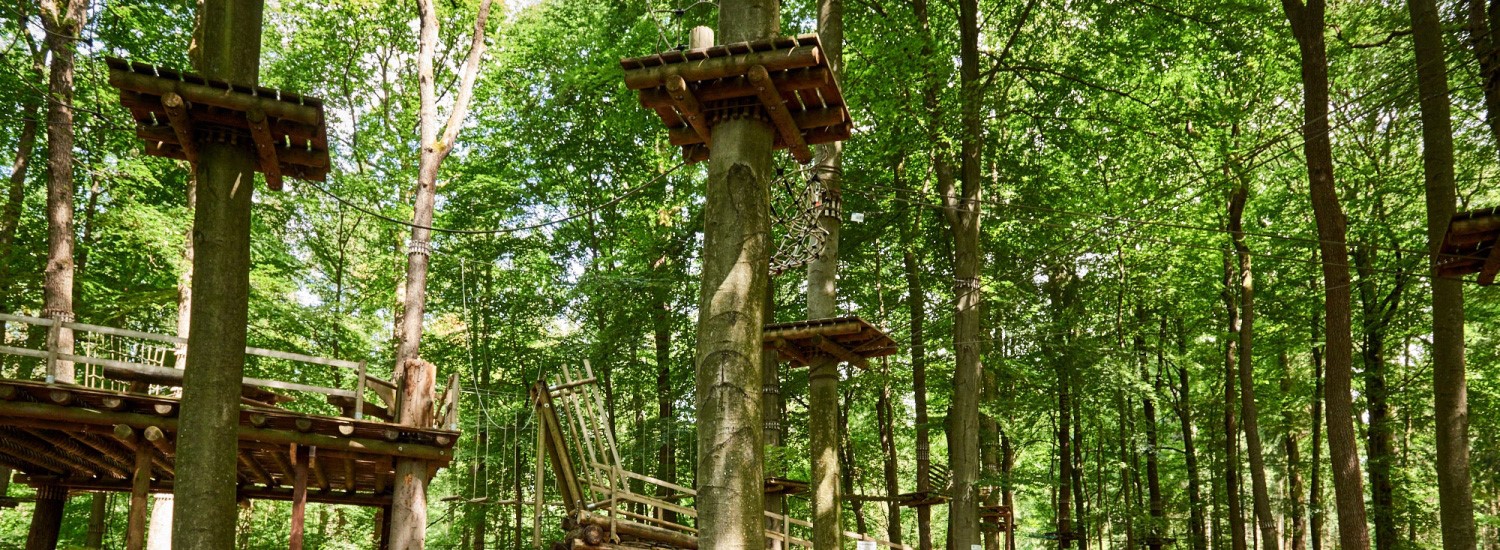 titelbild-reisethemen-waldabenteuer-hochseilgarten